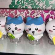 ヒメ日記 2025/12/21 16:45 投稿 ふわり アクアマリン