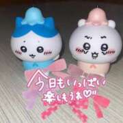 ヒメ日記 2025/12/23 12:01 投稿 ふわり アクアマリン