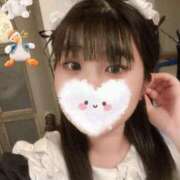 ヒメ日記 2026/01/15 14:00 投稿 ふわり アクアマリン