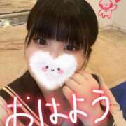 ヒメ日記 2026/03/21 12:01 投稿 ふわり アクアマリン