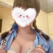 ヒメ日記 2026/03/27 12:06 投稿 ふわり アクアマリン