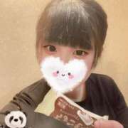 ヒメ日記 2026/04/10 16:00 投稿 ふわり アクアマリン