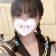 ヒメ日記 2026/04/12 14:00 投稿 ふわり アクアマリン