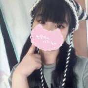 ヒメ日記 2026/04/13 10:07 投稿 ふわり アクアマリン