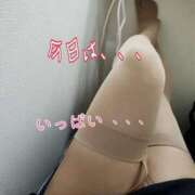 ヒメ日記 2025/07/30 00:07 投稿 ことえ 熟女家 堺東店