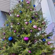 ヒメ日記 2025/12/25 09:27 投稿 ことえ 熟女家 堺東店