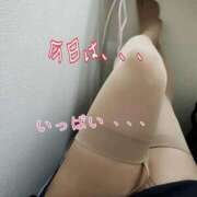 ヒメ日記 2026/02/19 06:17 投稿 ことえ 熟女家 堺東店