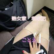 ヒメ日記 2026/02/20 11:29 投稿 ことえ 熟女家 堺東店