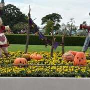 ヒメ日記 2025/10/09 14:32 投稿 四葉 める ハレ系 放課後クラブ