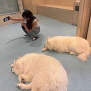 ヒメ日記 2025/08/06 00:07 投稿 あいり non-non 神田(ノンノン神田)