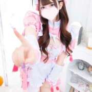 ヒメ日記 2026/02/06 08:40 投稿 ひかり E+アイドルスクール品川店