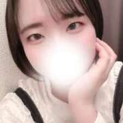 ヒメ日記 2026/03/30 13:17 投稿 おと 東京リップ 池袋店