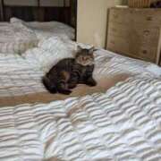 ヒメ日記 2025/07/08 09:32 投稿 しほ★ 恵里亜(エリア)