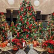 しほ★ 12月スケジュール⛄️🎄 恵里亜(エリア)