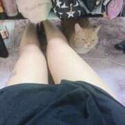 田島　ひろ ぬくもり♡♡ スタイリッシュ秘書