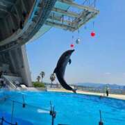 ヒメ日記 2025/07/13 02:57 投稿 ゆづき 山口下関ちゃんこ