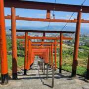 ヒメ日記 2025/08/03 09:49 投稿 ゆづき 山口下関ちゃんこ
