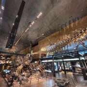 ヒメ日記 2025/09/17 15:33 投稿 ゆづき 山口下関ちゃんこ