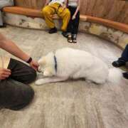 ヒメ日記 2025/09/19 13:33 投稿 ゆづき 山口下関ちゃんこ