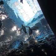 ヒメ日記 2025/10/13 12:54 投稿 ゆづき 山口下関ちゃんこ