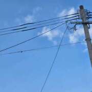 ヒメ日記 2025/11/30 07:04 投稿 ゆづき 山口下関ちゃんこ