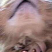 ゆづき ナイスすぎない？ꉂ🤭 山口下関ちゃんこ