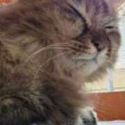 ゆづき 日向ぼっこ♡ 山口下関ちゃんこ