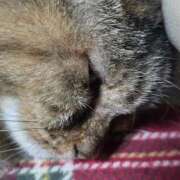 ヒメ日記 2025/12/19 06:54 投稿 ゆづき 山口下関ちゃんこ