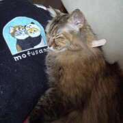 ヒメ日記 2025/12/25 08:04 投稿 ゆづき 山口下関ちゃんこ