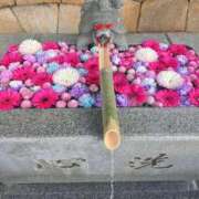 ヒメ日記 2026/01/10 13:24 投稿 ゆづき 山口下関ちゃんこ