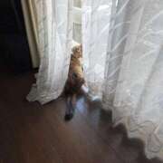 ヒメ日記 2026/01/11 08:54 投稿 ゆづき 山口下関ちゃんこ