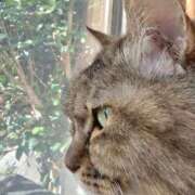 ヒメ日記 2026/01/17 10:54 投稿 ゆづき 山口下関ちゃんこ