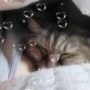 ヒメ日記 2026/03/10 07:44 投稿 ゆづき 山口下関ちゃんこ