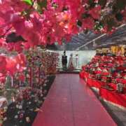 ヒメ日記 2026/03/10 20:04 投稿 ゆづき 山口下関ちゃんこ