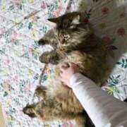 ヒメ日記 2026/03/14 08:24 投稿 ゆづき 山口下関ちゃんこ