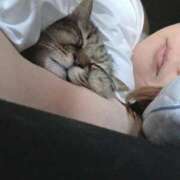 ヒメ日記 2026/03/20 04:34 投稿 ゆづき 山口下関ちゃんこ