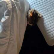 ヒメ日記 2026/03/22 07:04 投稿 ゆづき 山口下関ちゃんこ