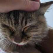 ヒメ日記 2026/03/24 22:34 投稿 ゆづき 山口下関ちゃんこ