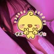 ヒメ日記 2025/07/20 00:58 投稿 らん みつばちマーヤZ