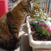 たえ 今日から出勤します♪ モアグループ神栖人妻花壇