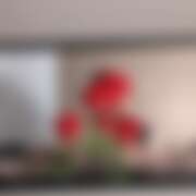 ヒメ日記 2025/11/13 19:39 投稿 三澄しおり 色気あるワイフ