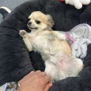 ヒメ日記 2025/09/29 18:41 投稿 ゆきね 野田デリヘル若妻淫乱倶楽部