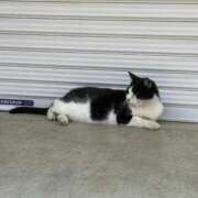 ヒメ日記 2025/09/03 13:27 投稿 うた【新人】 LOVE MISSILE（ラブミサイル）