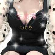 ヒメ日記 2025/12/10 11:33 投稿 ☆ひとみ奥様 club生奥様～福島店～