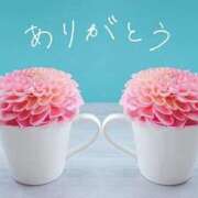 ヒメ日記 2026/01/24 09:07 投稿 るきあ 熟女家 梅田店