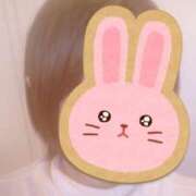 ヒメ日記 2026/01/10 09:30 投稿 ひまり 花夫人