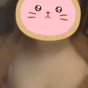 ヒメ日記 2026/03/03 13:57 投稿 ひまり 花夫人