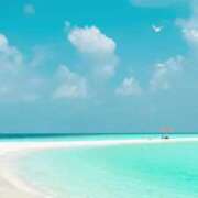 ヒメ日記 2025/08/03 12:04 投稿 なみ Hip's-group越谷本店