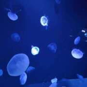 ヒメ日記 2025/08/26 19:32 投稿 なみ Hip's-group越谷本店