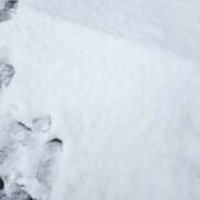 ヒメ日記 2026/02/08 11:52 投稿 なみ Hip's-group越谷本店